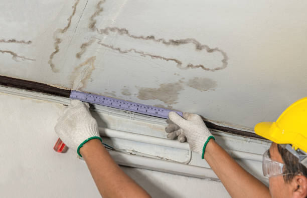 Reliable Burst Pipe Cleanup contractor in Black Creek, WI by Water Damage Irwin